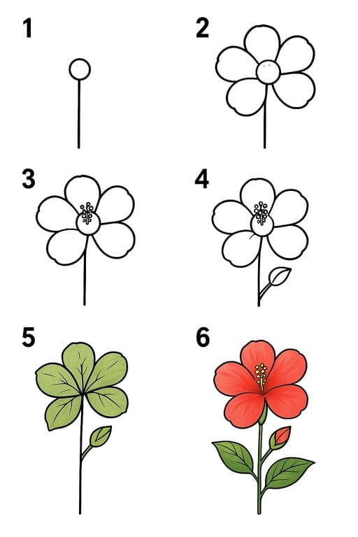 How to draw Red Hibiscus