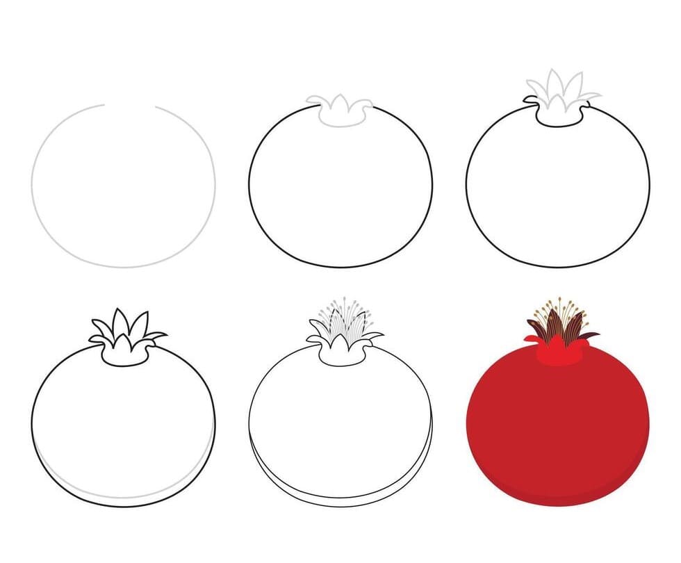 Red Pomegranate Drawing Ideas