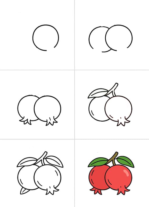 Sweet Pomegranates Drawing Ideas