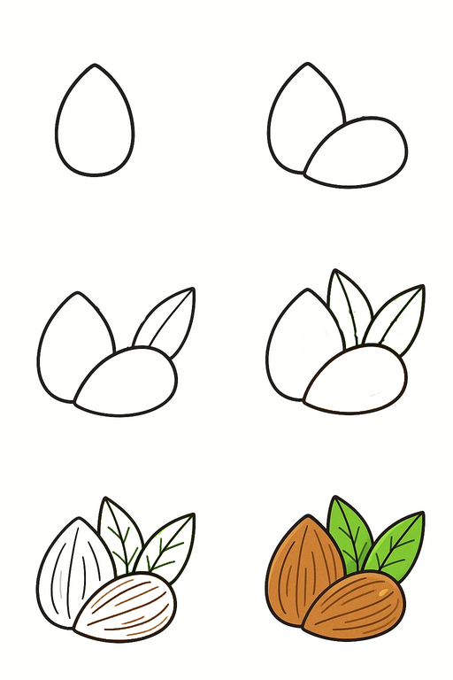 Two Basic Almonds Drawing Ideas