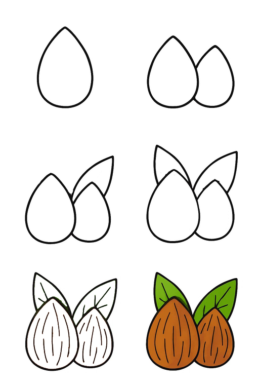 Almond Drawing Ideas