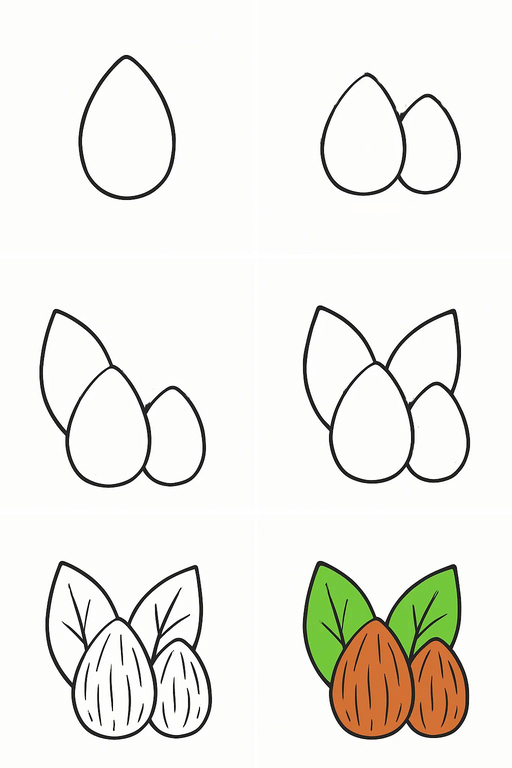 Two Simple Almonds Drawing Ideas