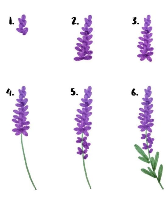 Watercolor Lavender Drawing Ideas