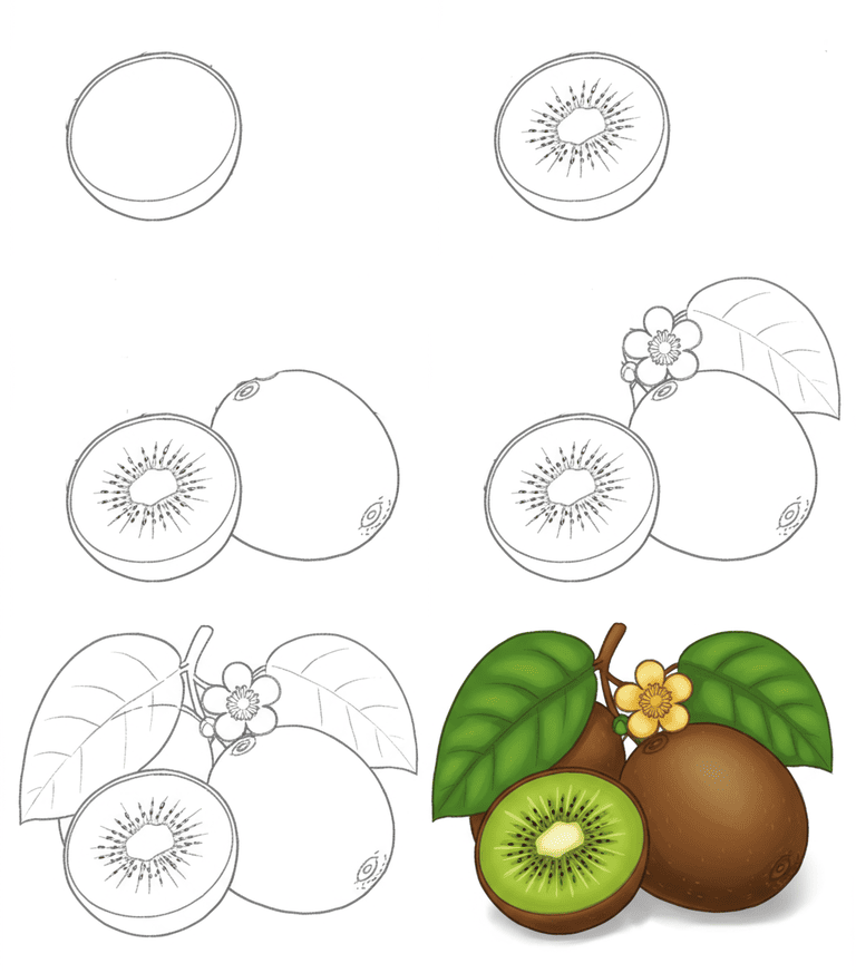 Kiwi Drawing Ideas