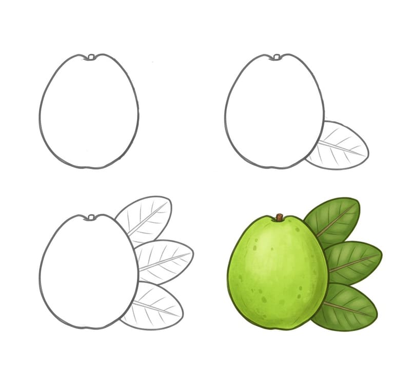 Easy Guava Drawing Ideas