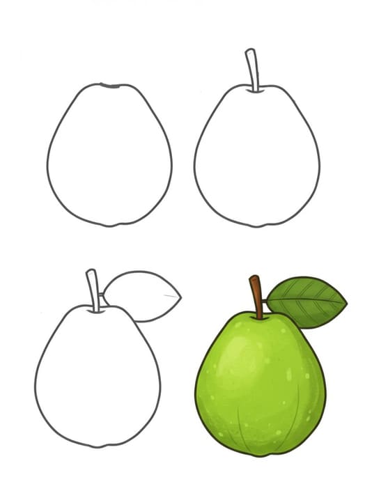 Fresh Guava Drawing Ideas