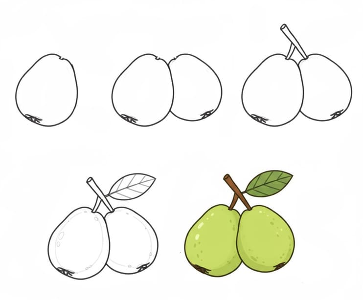 Fresh Guavas Drawing Ideas