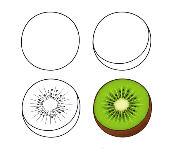 Haft a Kiwi Drawing Ideas
