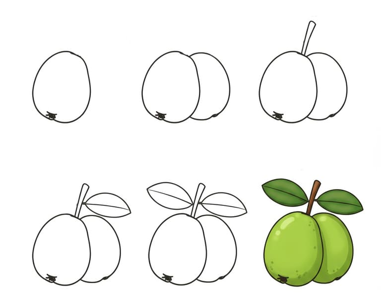 Nice Guavas Drawing Ideas