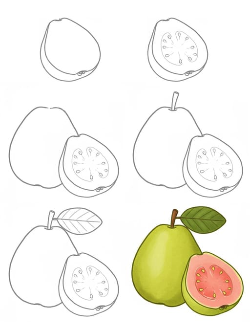 Sweet Guavas Drawing Ideas