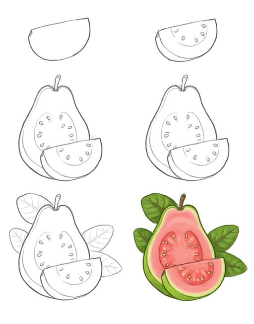 Tasty Guava Drawing Ideas