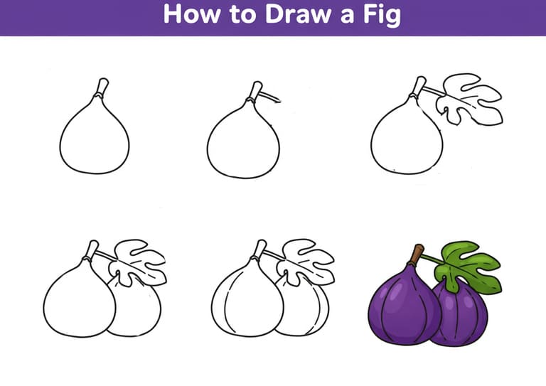 Two Figs Drawing Ideas