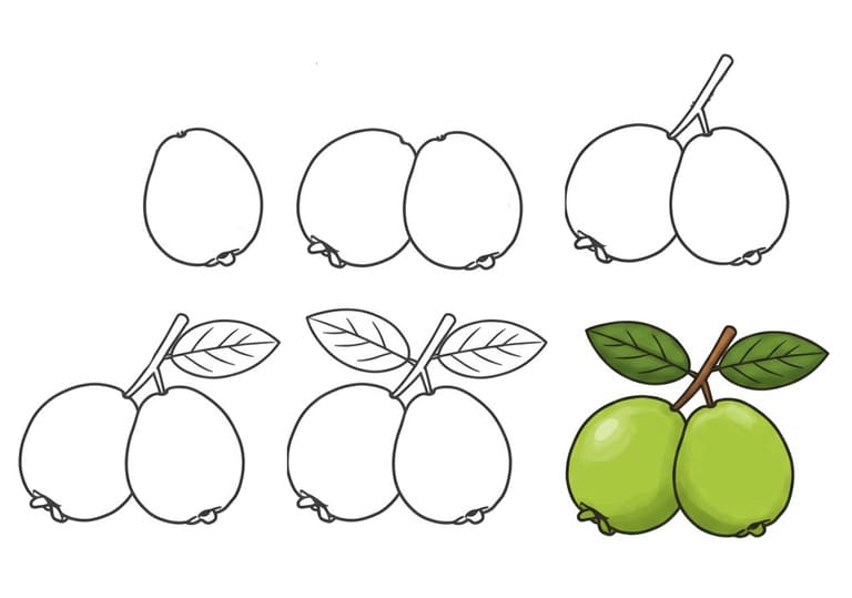Two Guavas Drawing Ideas