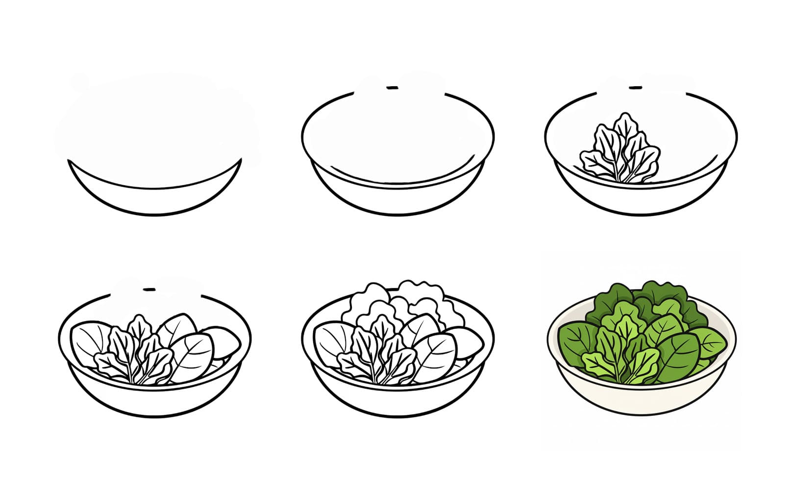 Lettuce Salad Drawing Ideas
