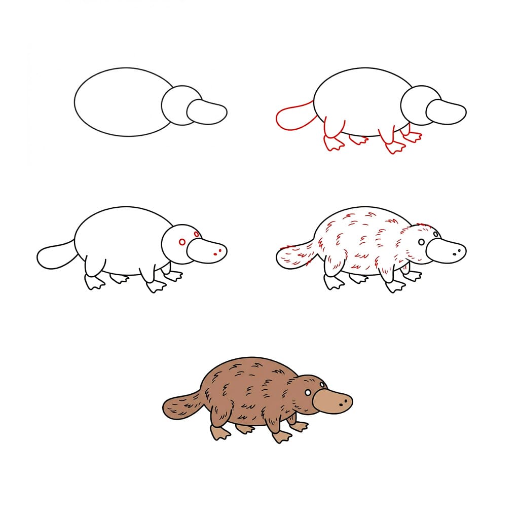 A platypus Drawing Ideas