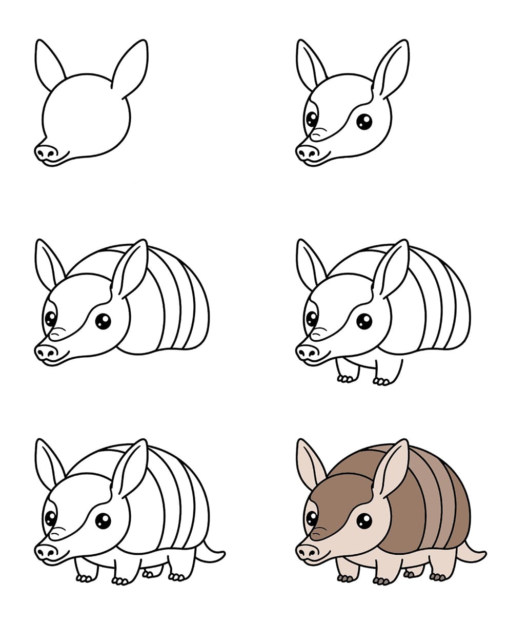 Adorable armadillo Drawing Ideas
