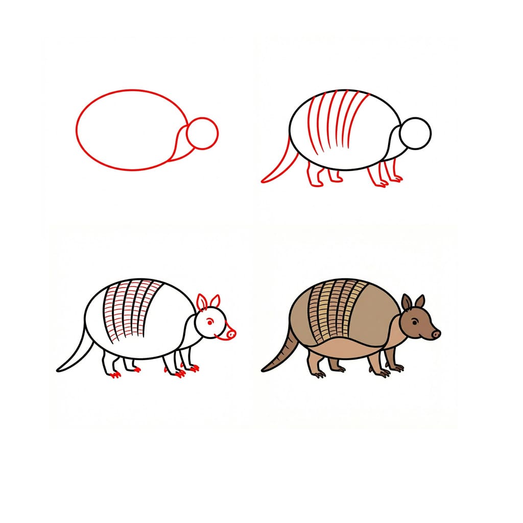 Animated armadillo Drawing Ideas