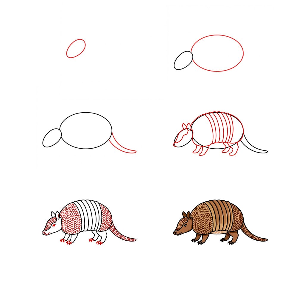 Armadillo cartoon Drawing Ideas