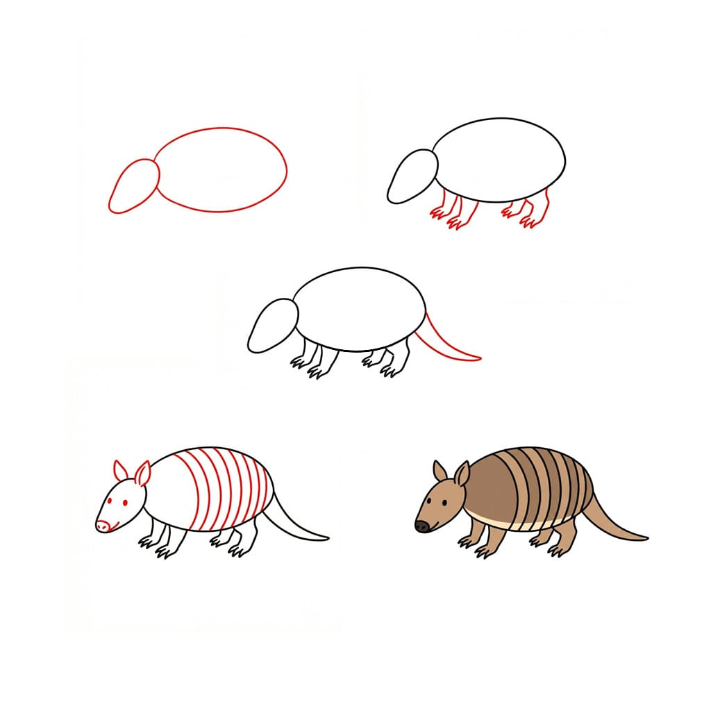 Armadillo for kids Drawing Ideas