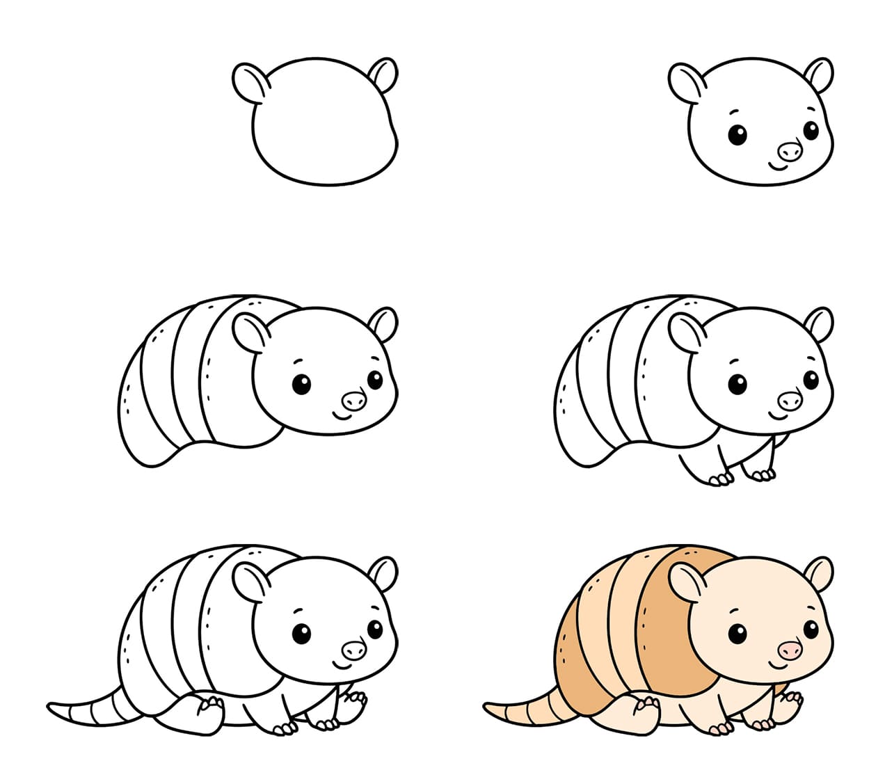 Baby armadillo Drawing Ideas