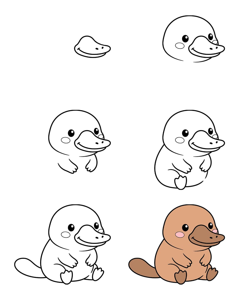Baby platypus Drawing Ideas
