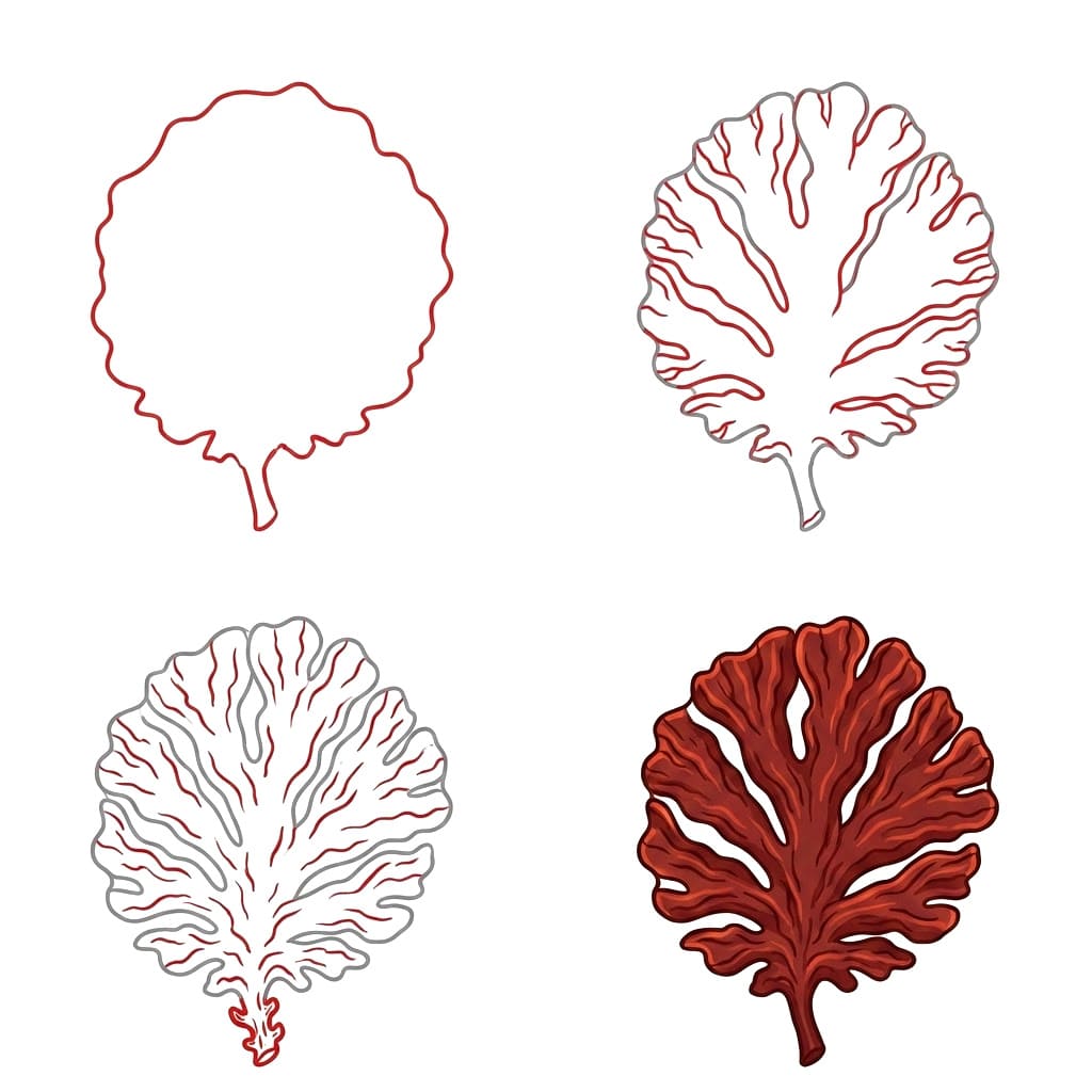 Beatiful Dulse seaweed Drawing Ideas