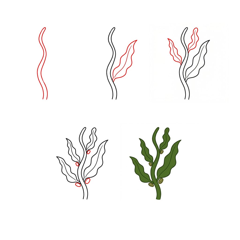 Bladderwrack seaweed Drawing Ideas