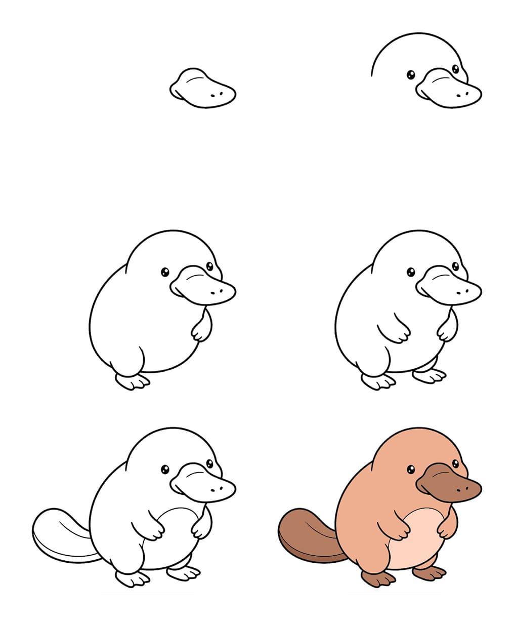 Chibi platypus Drawing Ideas