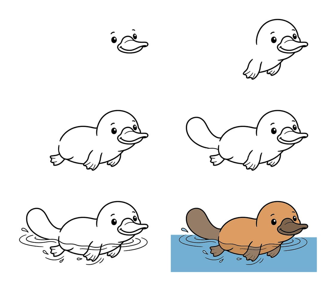 Chilling platypus Drawing Ideas