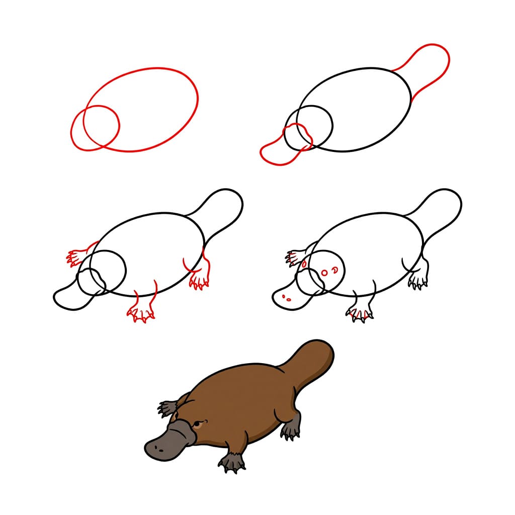 Cute cartoon platypus Drawing Ideas