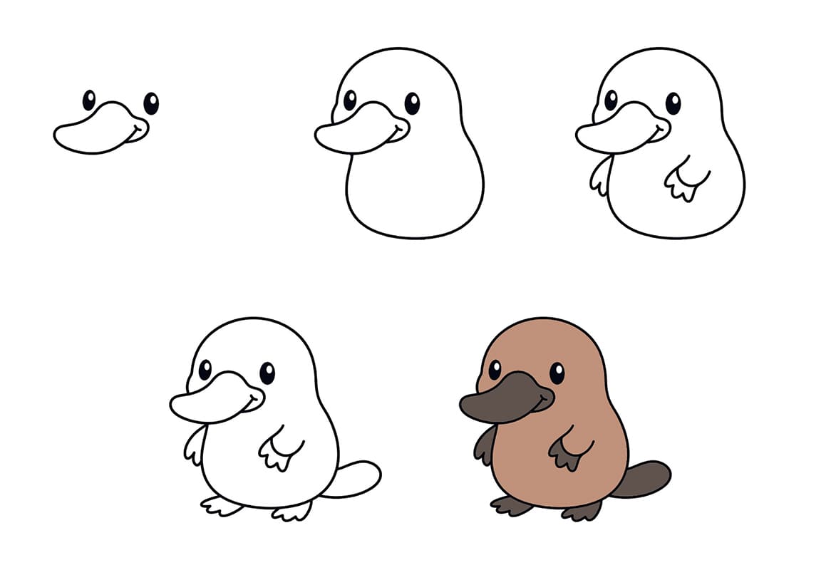 Cute kawaii platypus Drawing Ideas