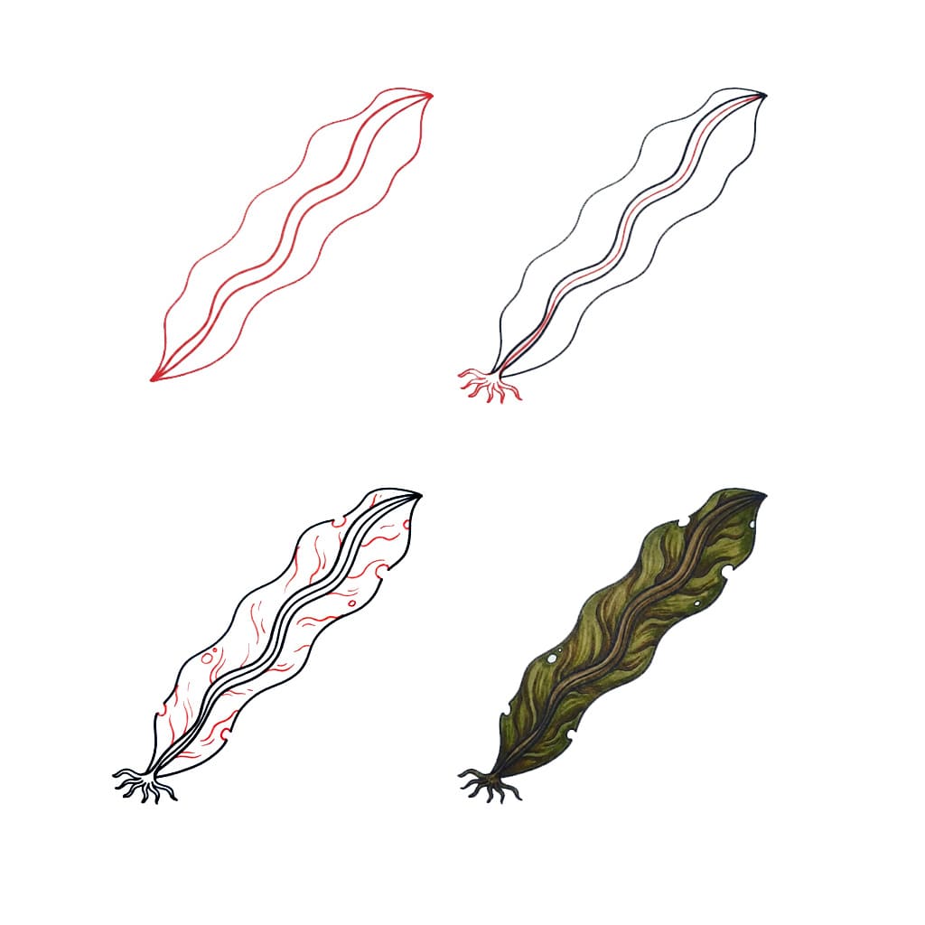 Dabberlocks seaweed Drawing Ideas