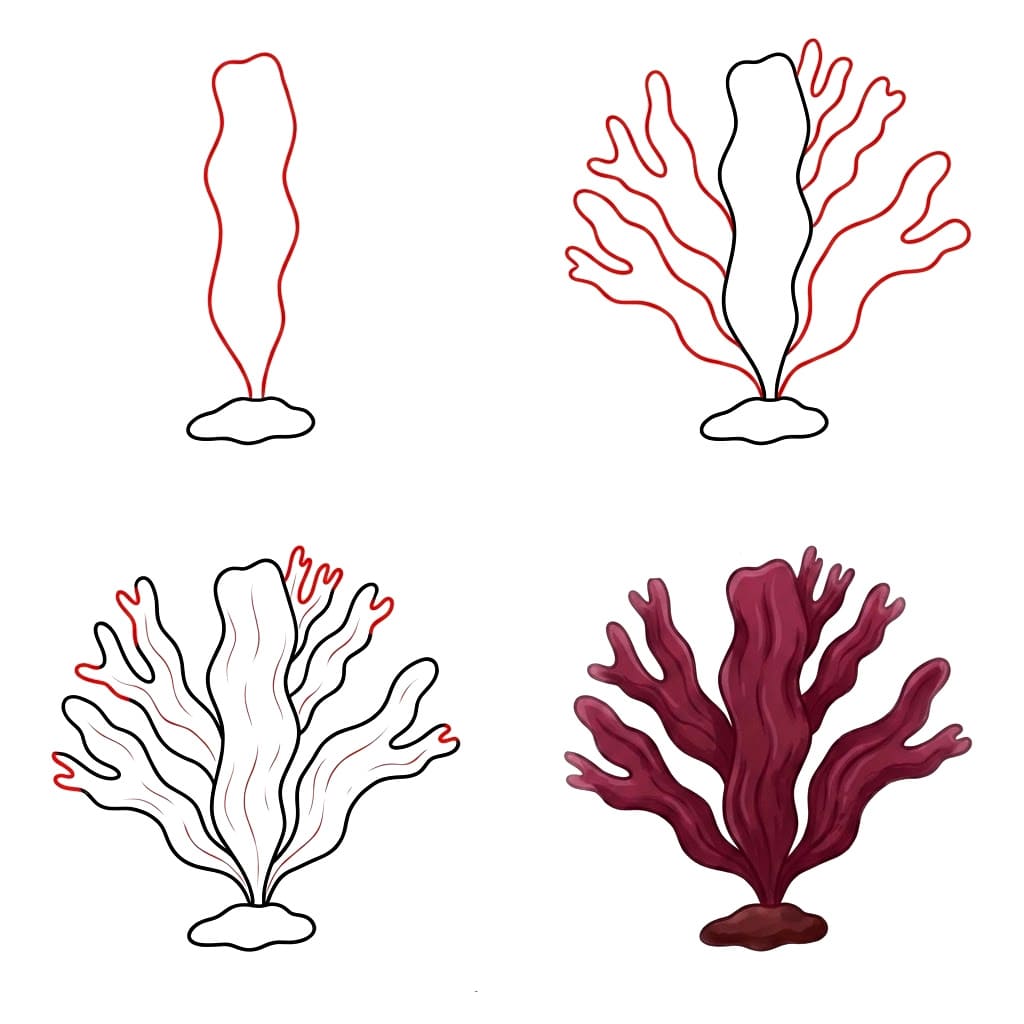 Dulse seaweed Drawing Ideas