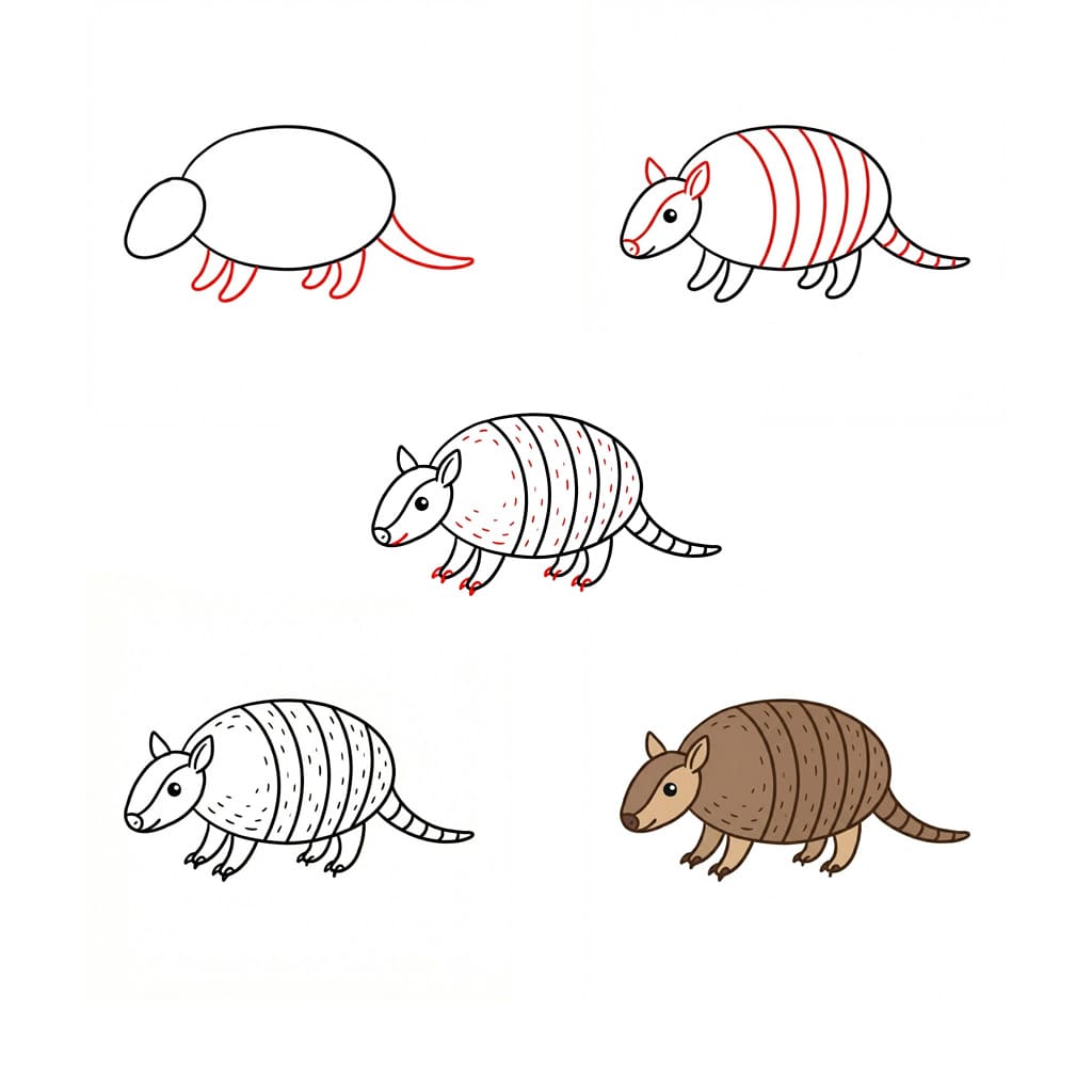 Easy armadillo Drawing Ideas