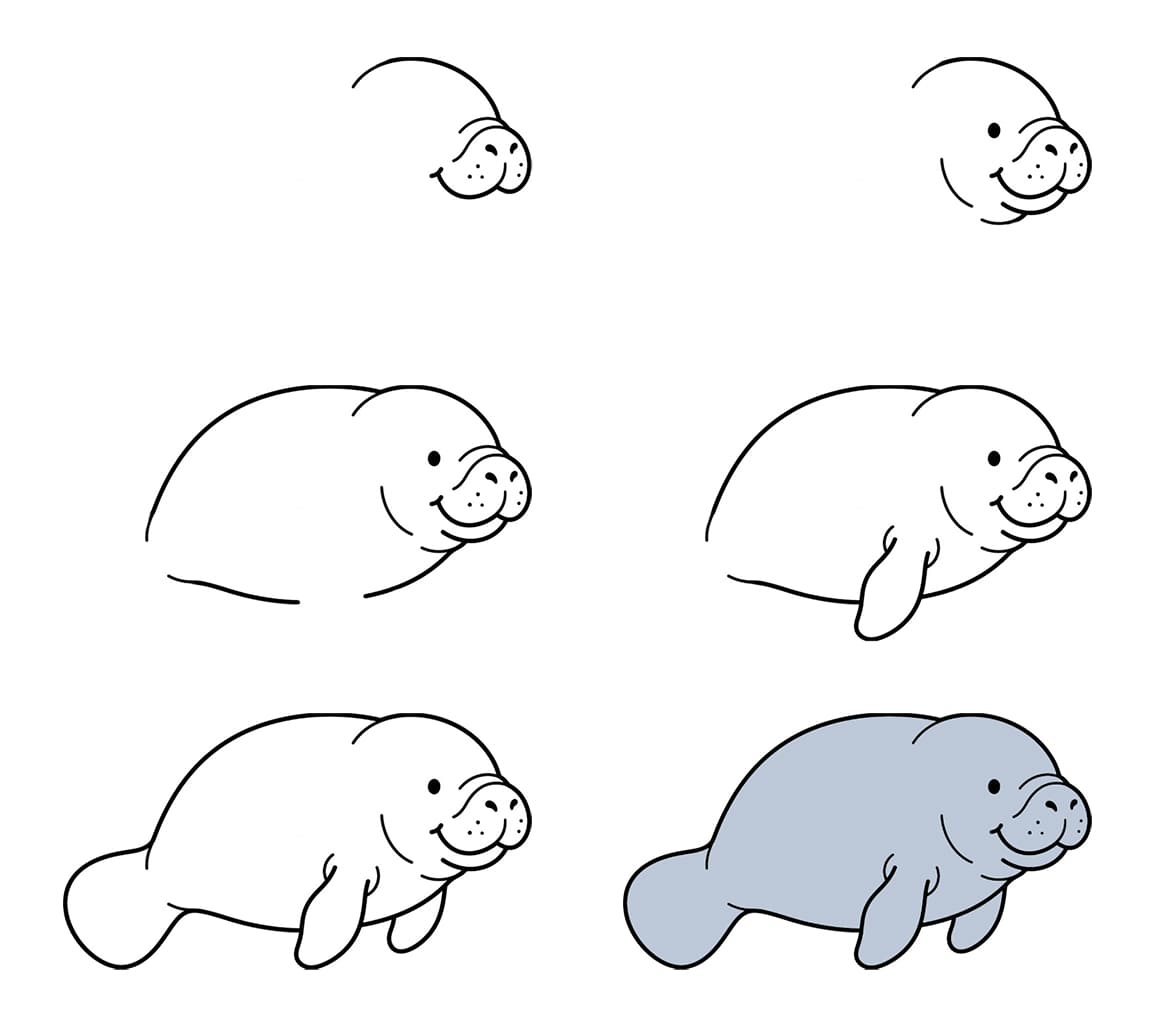 Easy manatee Drawing Ideas