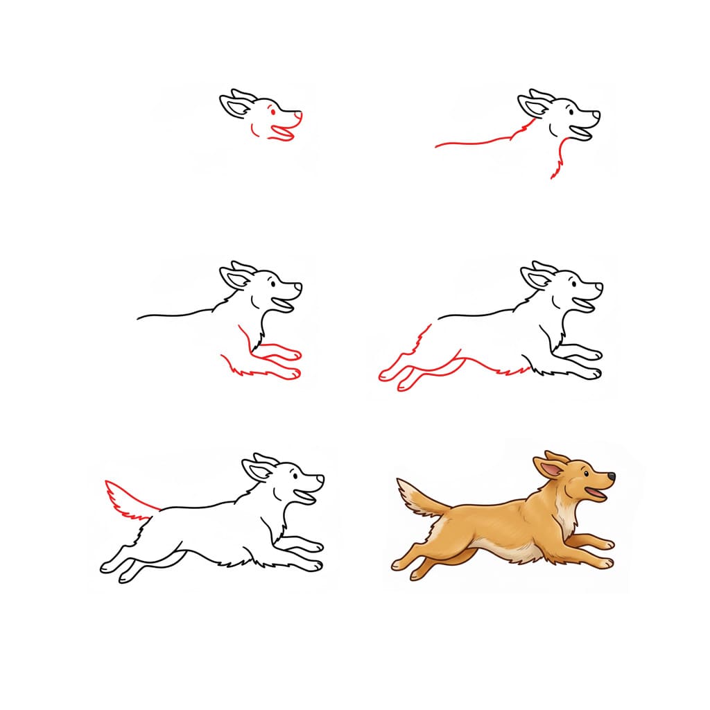 Fast Golden Retriever Drawing Ideas