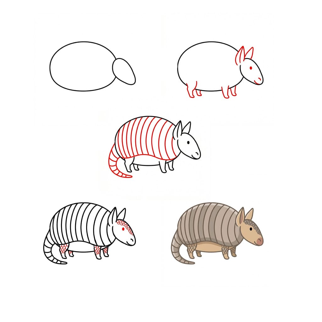 Fat armadillo Drawing Ideas