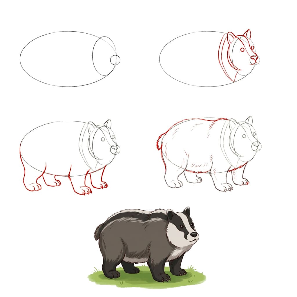 Fat badger Drawing Ideas