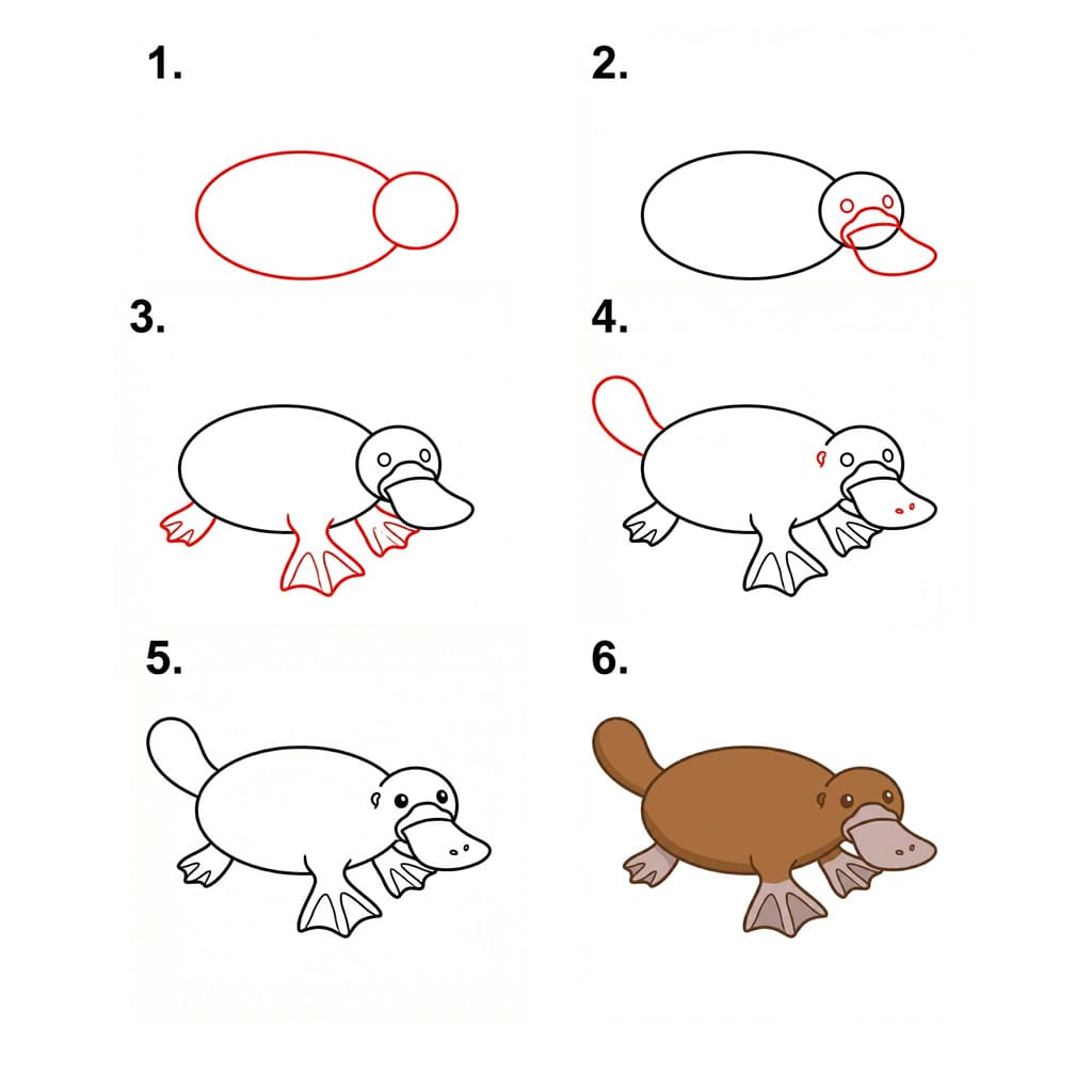 Fat platypus Drawing Ideas
