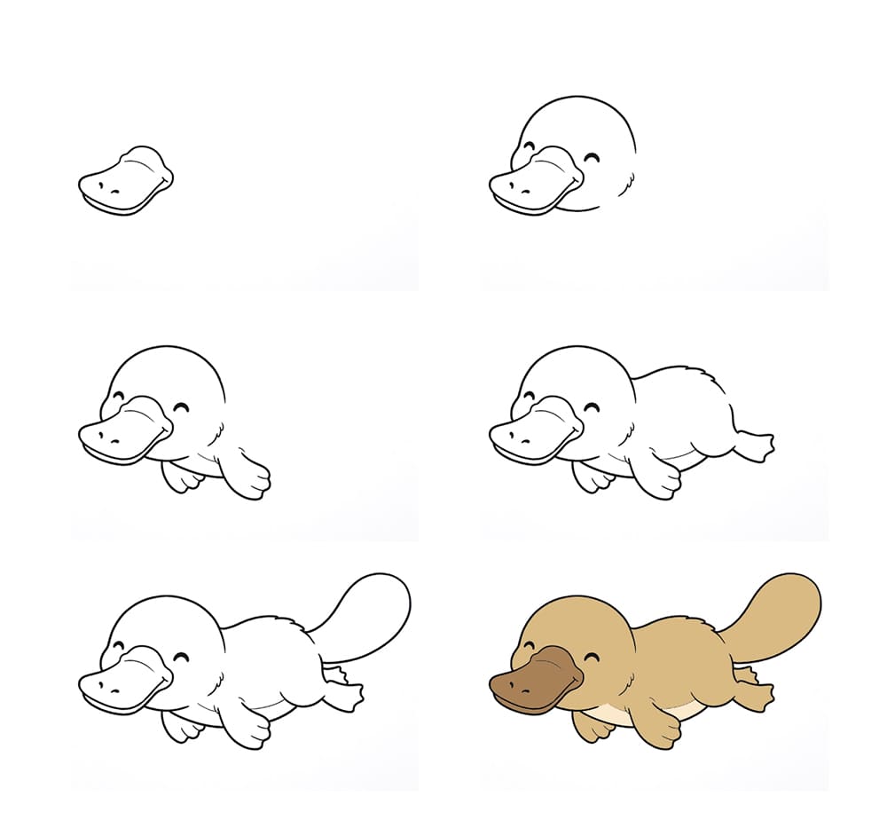 Friendly platypus Drawing Ideas
