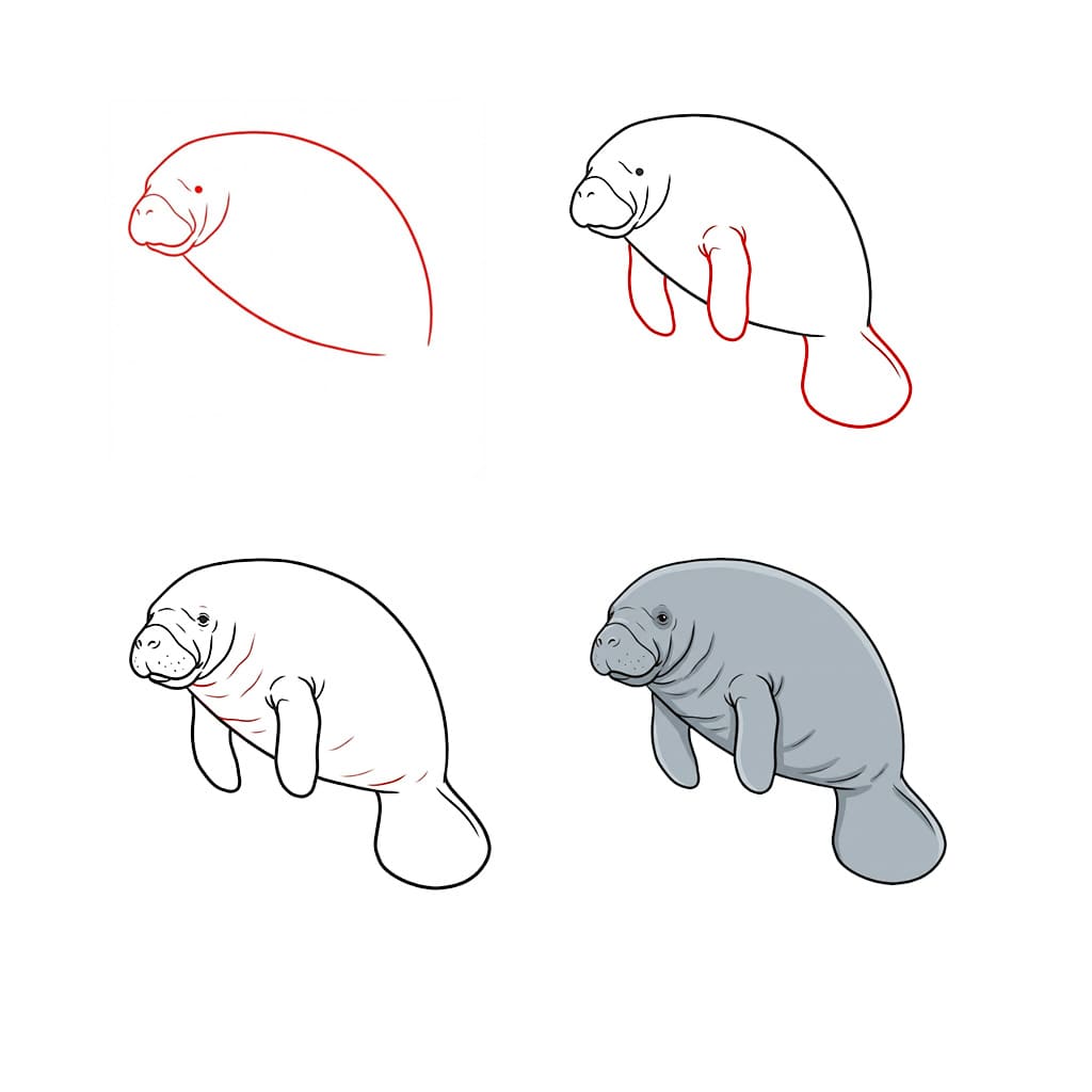 Gray manatee Drawing Ideas