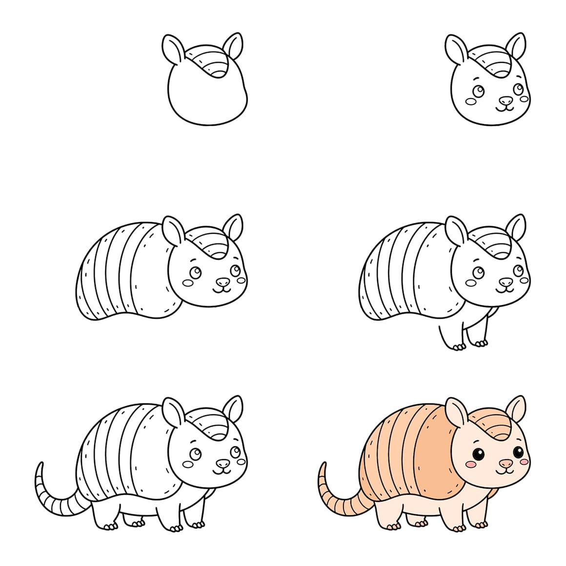 Armadillo Drawing Ideas