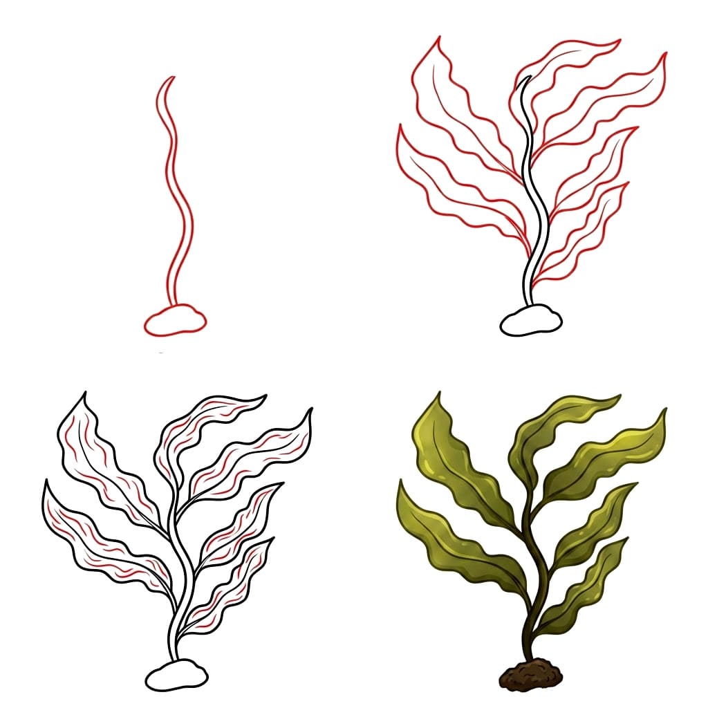 Kelp Forest Plant seaweed Drawing Ideas