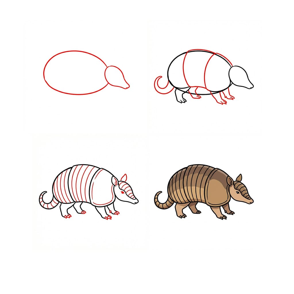 Kind armadillo Drawing Ideas