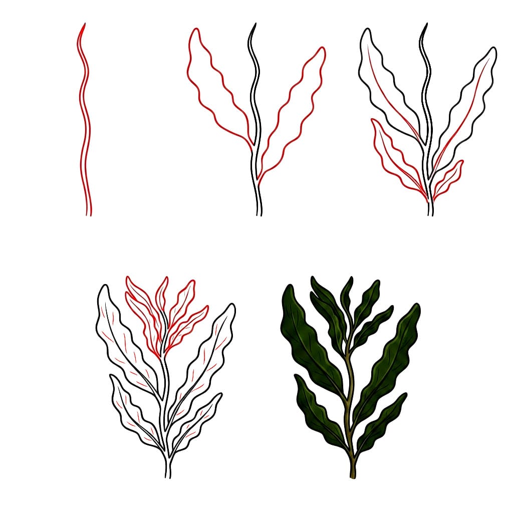Large wakame seaweed Drawing Ideas