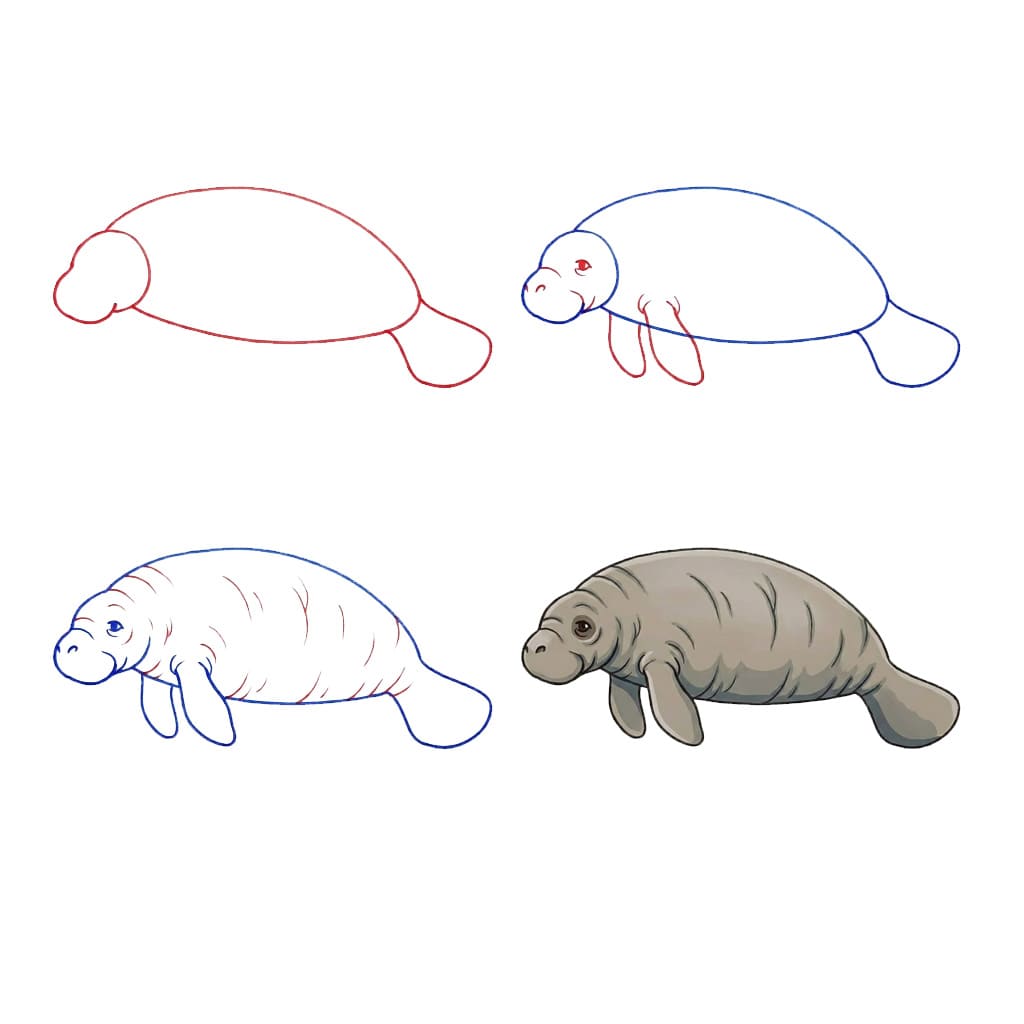 Old manatee Drawing Ideas