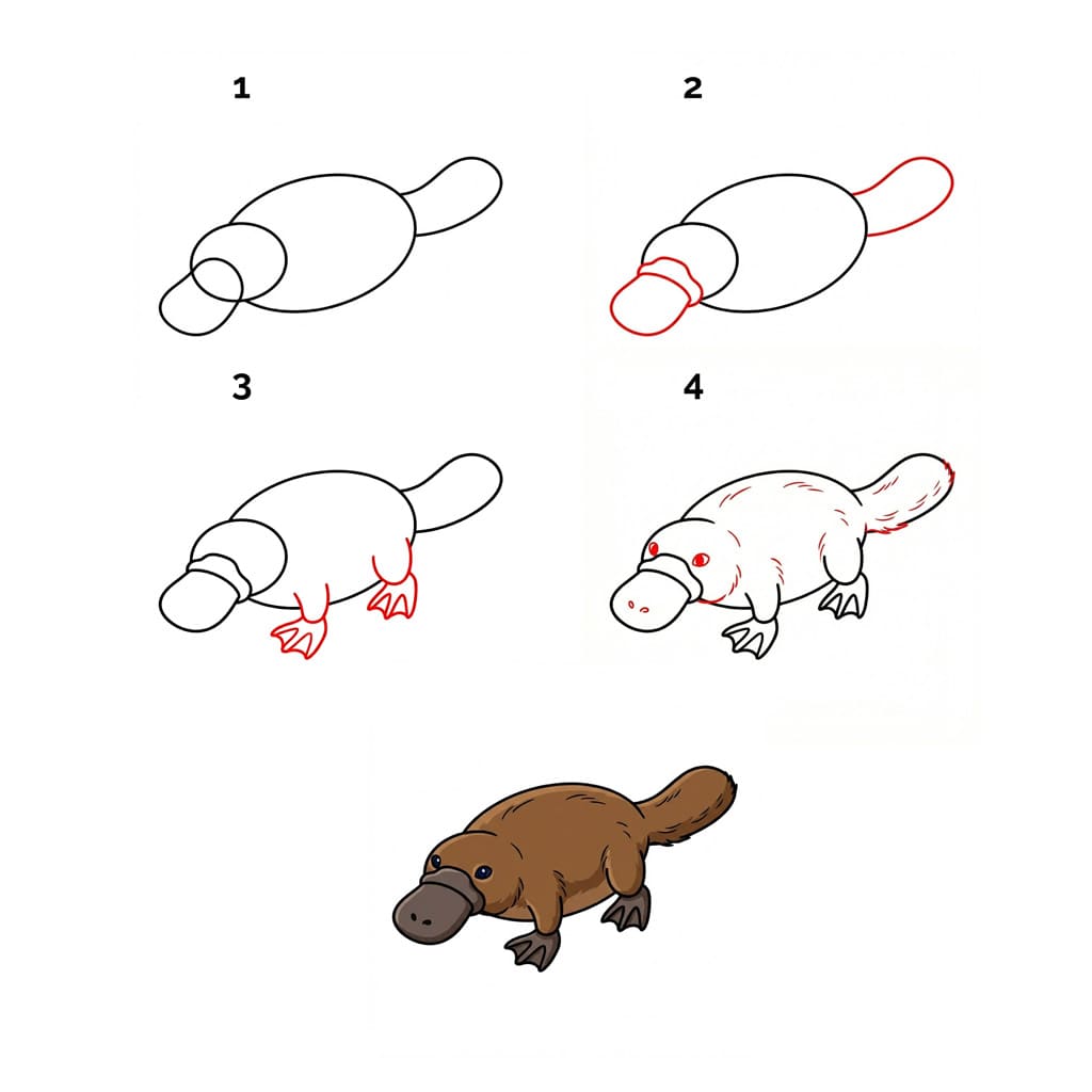 Platypus for children Drawing Ideas