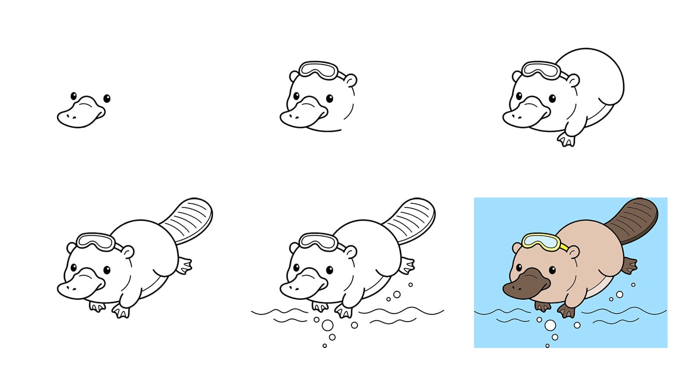 Platypus underwater Drawing Ideas