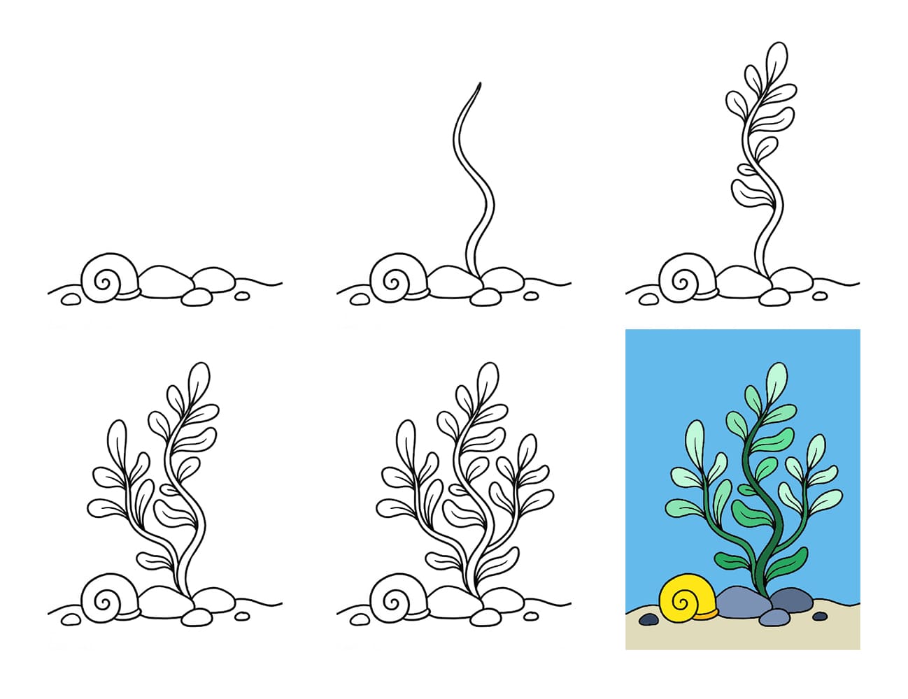 Seaweed and seashell Drawing Ideas