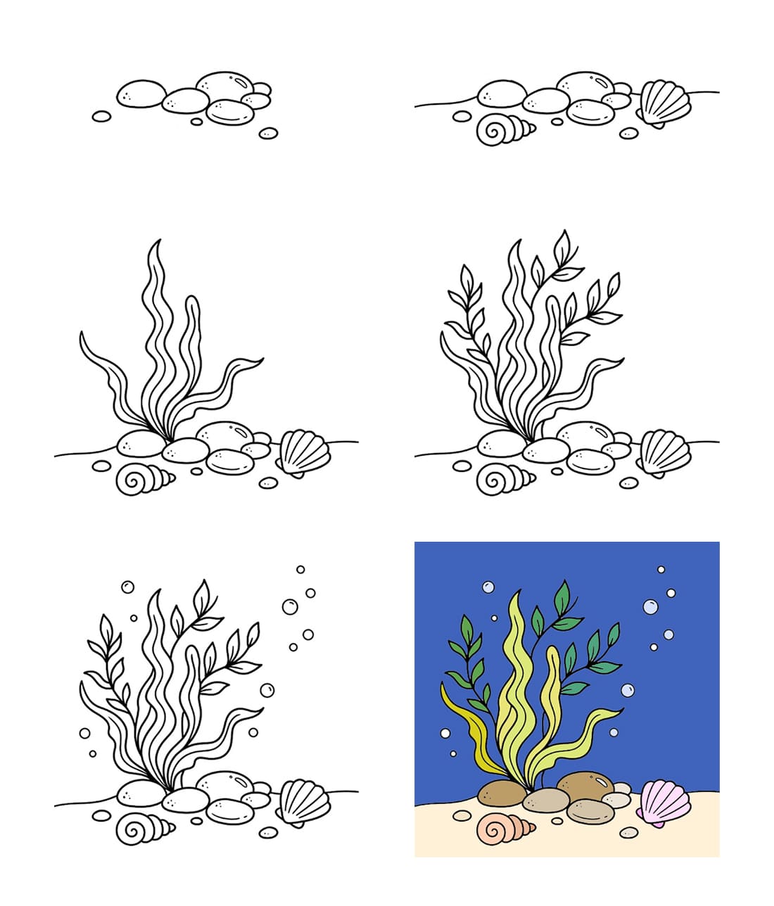 Seaweed Drawing Ideas